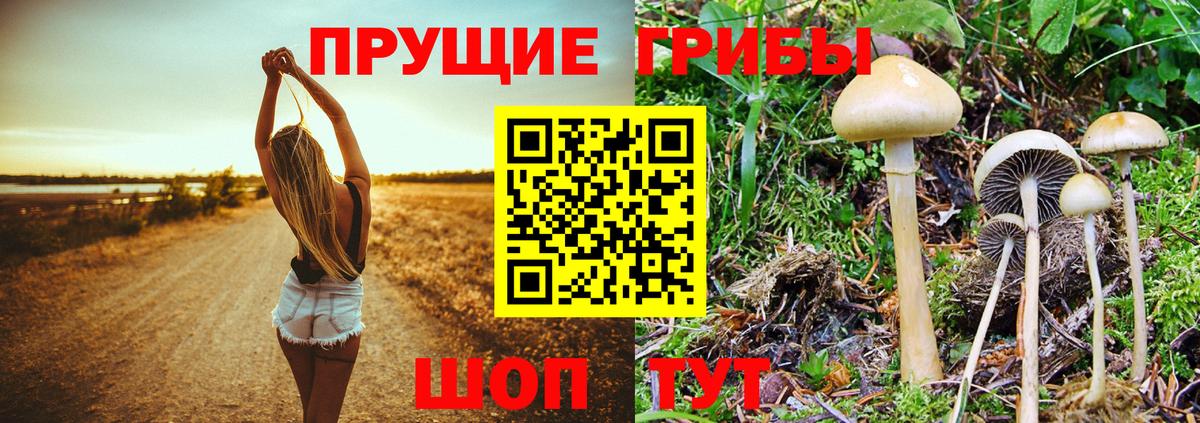 Галлюциногенные грибы мухоморы  Галлюциногенные грибы Cubensis  Тихорецк  Вход с VPN 